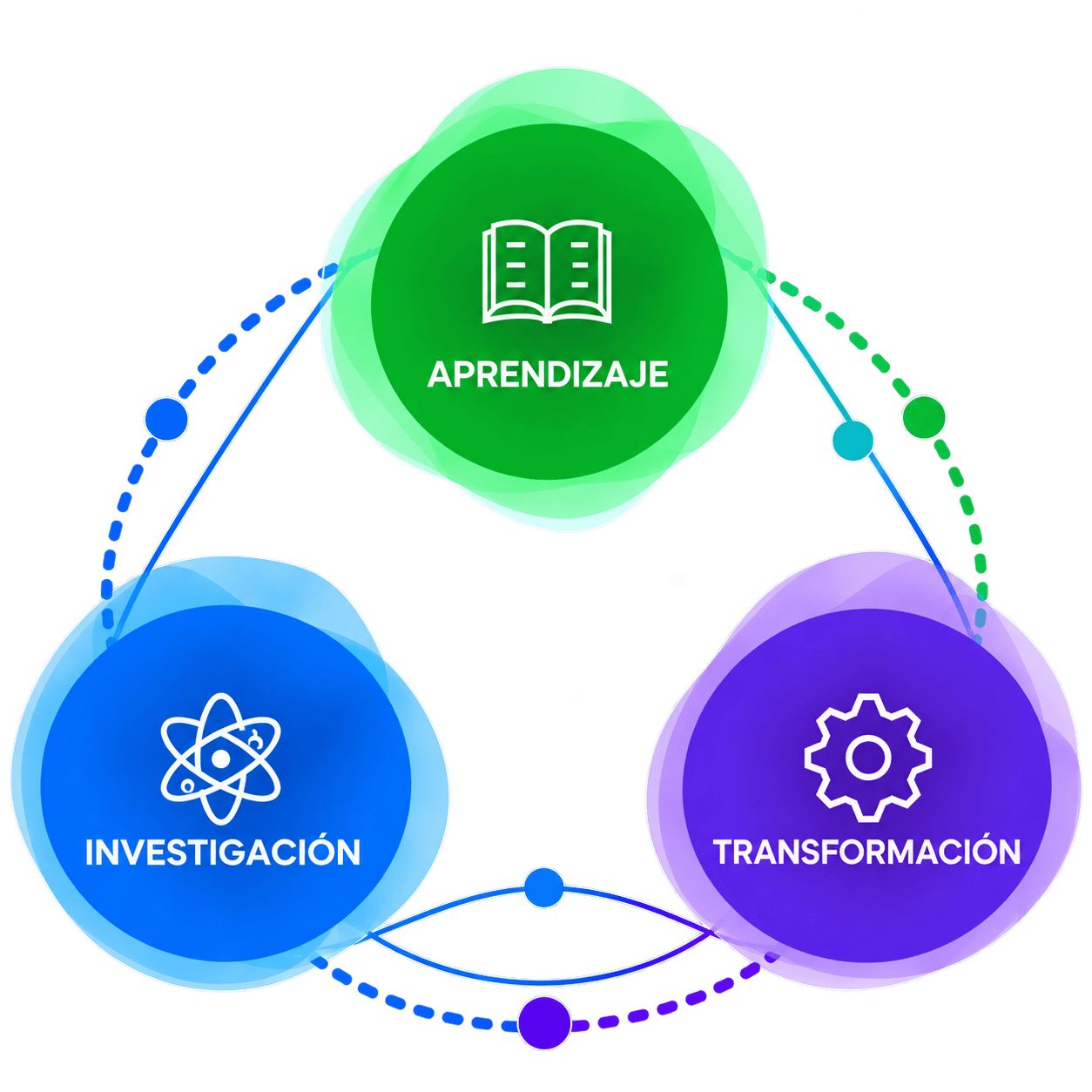 ecositemas-ciclo