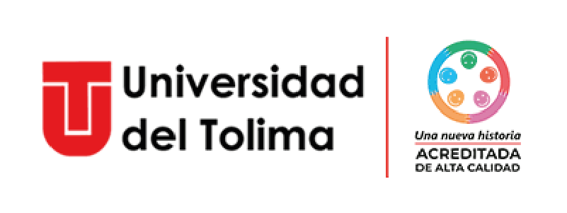 INN-CLIENTE-Mesa de trabajo 9